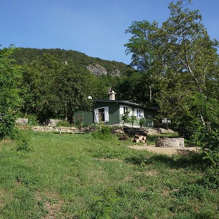 Вілла Badacsony Vendeghaz Бадаксонітьордемік Номер фото