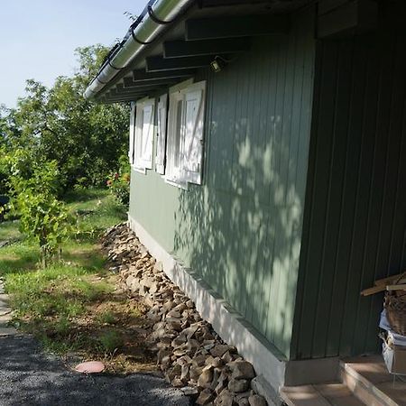 Вілла Badacsony Vendeghaz Бадаксонітьордемік Номер фото
