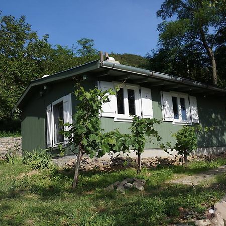 Вілла Badacsony Vendeghaz Бадаксонітьордемік Номер фото